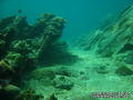 scuba diving photo