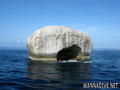 scuba diving photo