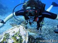 scuba diving photo