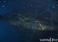 scuba diving photo