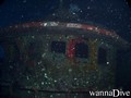 scuba diving photo