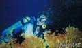 scuba diving photo