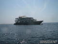 scuba diving photo