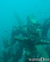 scuba diving photo