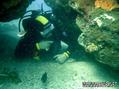 scuba diving photo