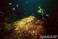 scuba diving photo