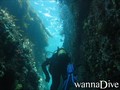scuba diving photo