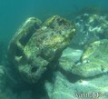 scuba diving photo