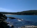 scuba diving photo