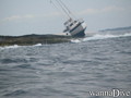 scuba diving photo