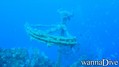 scuba diving photo