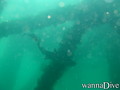 scuba diving photo
