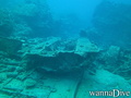 scuba diving photo