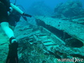 scuba diving photo