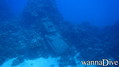 scuba diving photo