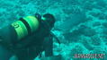 scuba diving photo