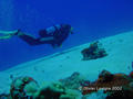 scuba diving photo