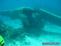 scuba diving photo
