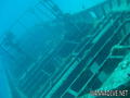 scuba diving photo