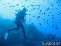scuba diving photo