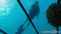 scuba diving photo