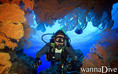 scuba diving photo