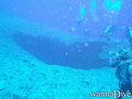 scuba diving photo