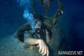 scuba diving photo