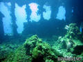 scuba diving photo