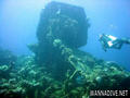 scuba diving photo