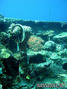 scuba diving photo