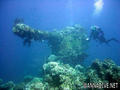 scuba diving photo