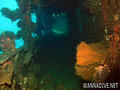 scuba diving photo