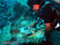 scuba diving photo