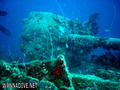 scuba diving photo