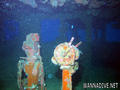 scuba diving photo