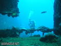 scuba diving photo