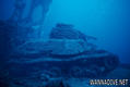 scuba diving photo
