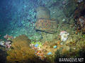 scuba diving photo