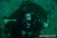 scuba diving photo