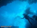 scuba diving photo