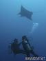 scuba diving photo