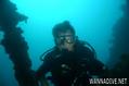 scuba diving photo
