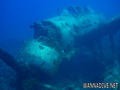 scuba diving photo