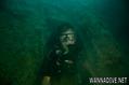scuba diving photo
