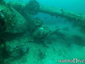 scuba diving photo