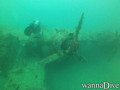 scuba diving photo