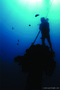 scuba diving photo