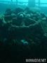 scuba diving photo