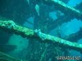 scuba diving photo
